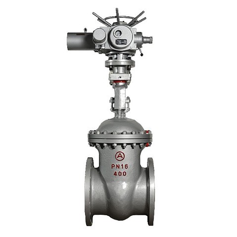 Задвижка стальная 30с941нж DN 600 PN 16 фланцевая под привод тип Г, класс ''А'' L=800мм САЗ АВАНГАРД купить в Челябинске | "Проконсим"