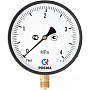 Манометр Росма ТМ-610Р 6,0 МПа /60 ат 150мм G1/2'' купить в Челябинске | "Проконсим"