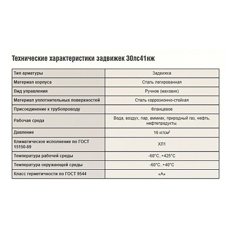 Задвижка стальная 30лс41нж DN 80 PN 16 класс ''А'' исполнение ХЛ1, L=210мм САЗ АВАНГАРД купить в Челябинске | "Проконсим"
