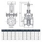 Задвижка чугунная 30ч6бр DN 200 PN 10 фланцевая параллельная ЛМЗ Семенов купить в Челябинске | "Проконсим"