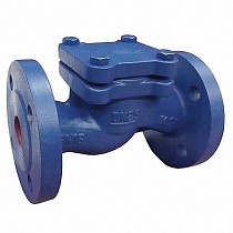 Клапаны обратные подъемные DN 15-200 PN 16 чугунные фланцевые до 250гр. АСТА ОК113 купить в Челябинске | "Проконсим"