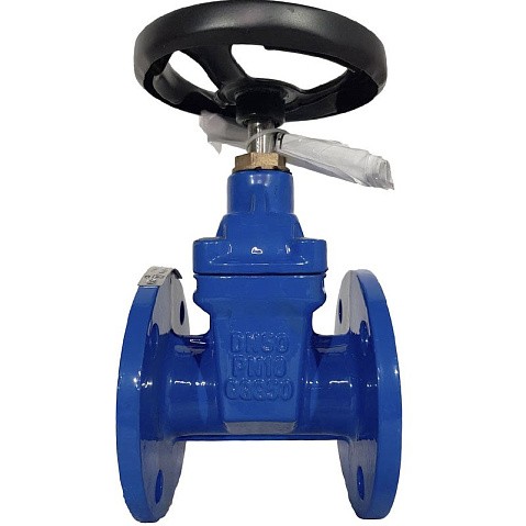 Задвижка чугунная 30ч39р DN 50 PN 10(16) с обрезиненным клином EPDM до 120гр. фланцевый ручной СИБЗТА купить в Челябинске | "Проконсим" (930130200)