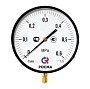 Манометр Росма ТМ-810Р.00 котловый, 250мм, 0-0.25МПа, резьба M20x1,5, радиальный, класс точности 1,5 купить в Челябинске | "Проконсим"