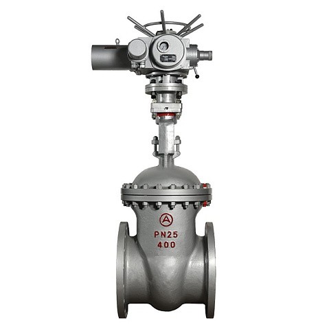 Задвижка стальная 30с964нж DN 600 PN 25 фланцевая под привод тип Г, класс ''А'' L=800мм САЗ АВАНГАРД купить в Челябинске | "Проконсим"