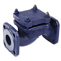 Клапаны обратные 16кч9нж подъёмные DN32-80 PN25 нержавеющая сталь фланцевые до 300гр. ЛУИДОР купить в Челябинске | "Проконсим"