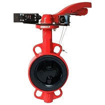 Затворы чугунные дисковые DN 50-250 PN 16 межфланцевые с концевиками и чугунным диском рычаг РАШВОРК купить в Челябинске | "Проконсим"