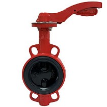 Затворы чугунные дисковые DN 50-100 PN 16 с электроприводом 24В и чугунным диском РАШВОРК купить в Челябинске | "Проконсим"
